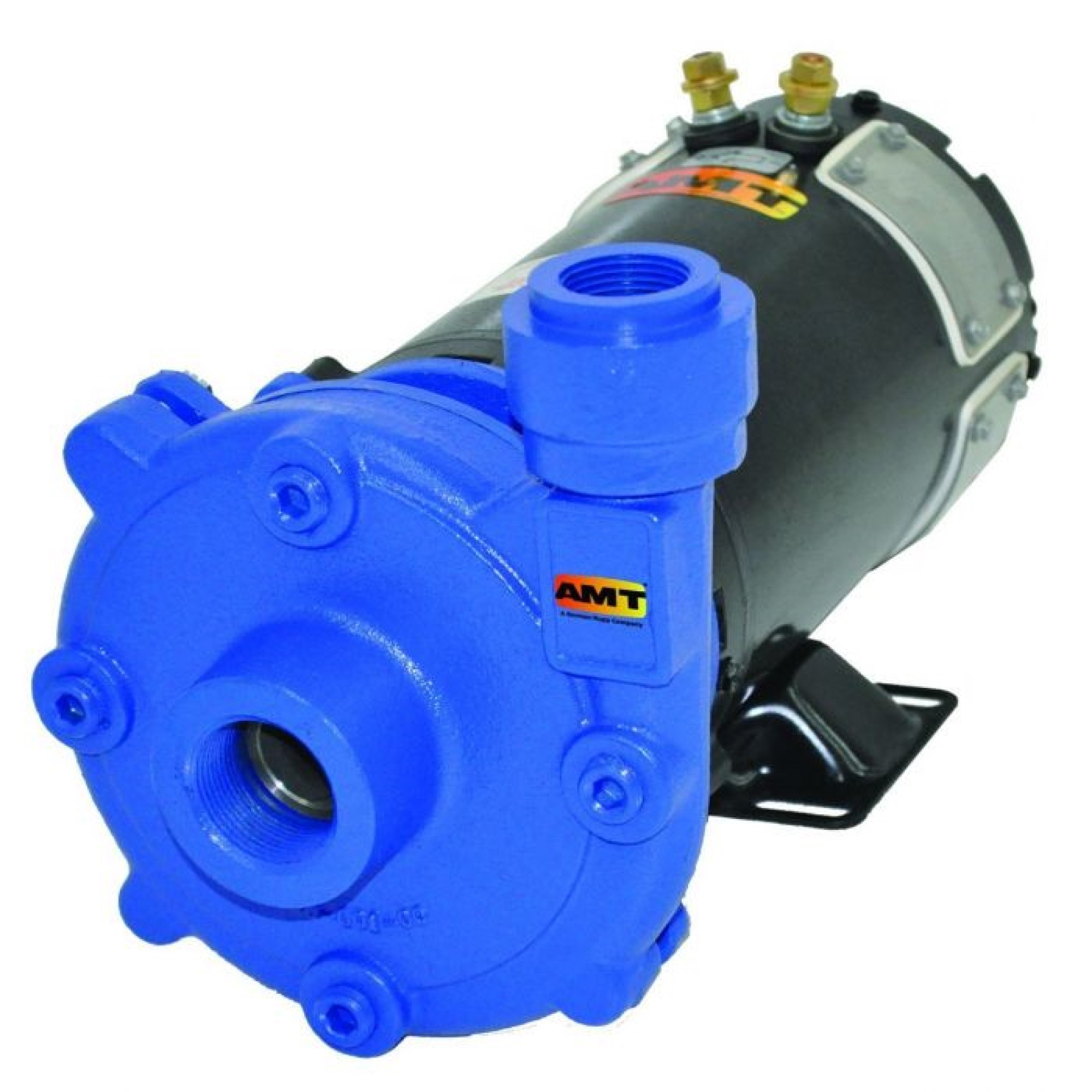 12V AMT Washdown Pump, Cast Iron Head 1.25