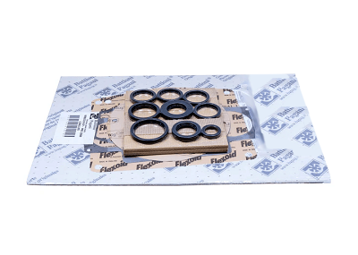 Battioni MEC Vacuum Pump Rebuild Kit Without Bearings