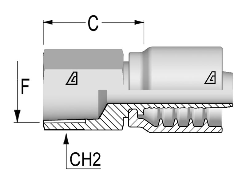 NPTF Female Rigid Pipe Thread Rigid