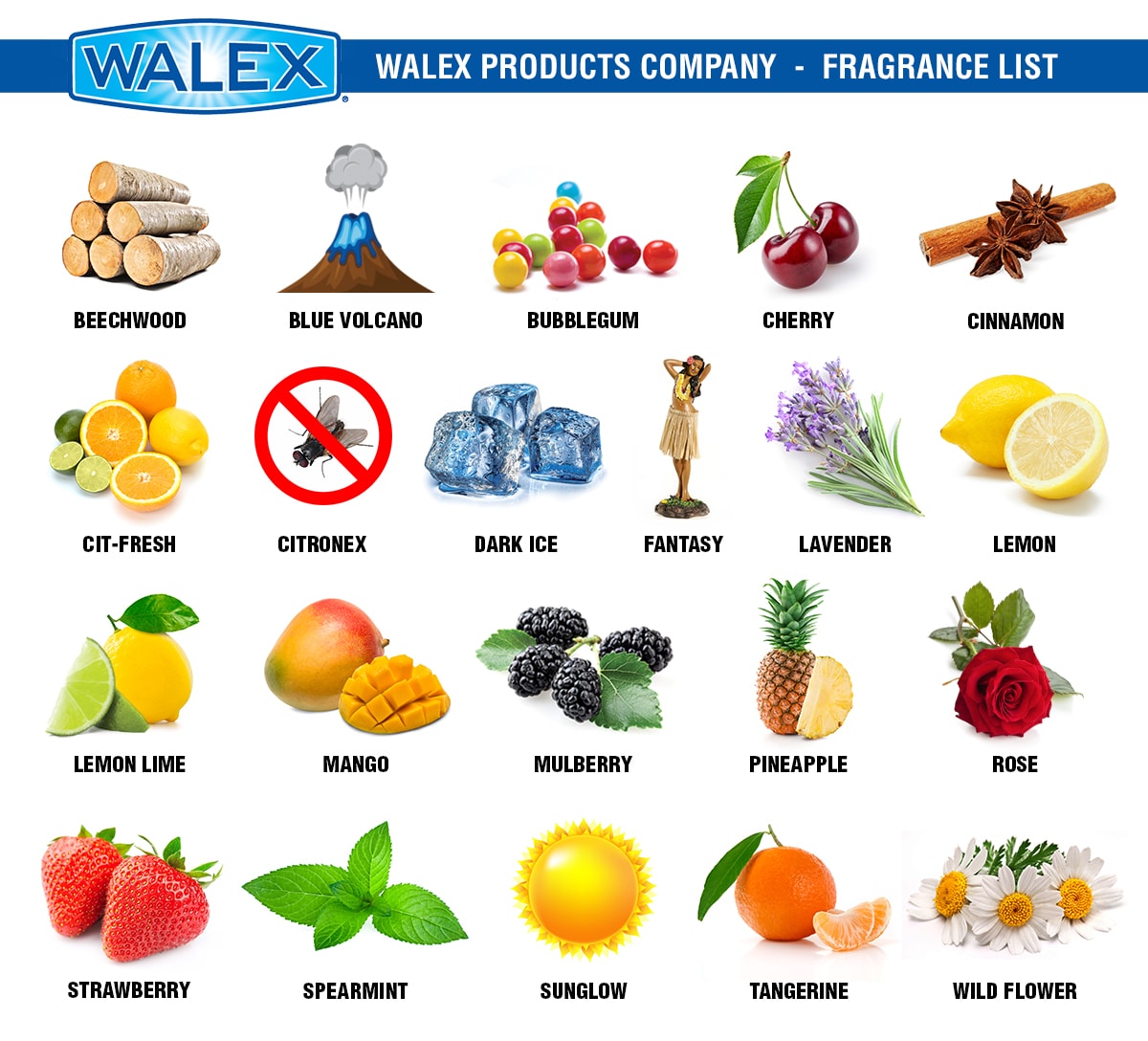 WALEX 1  GALLON ADVANTAGE LIQUID DEODORIZER