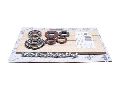 Battioni KPS490 Vacuum Pump Rebuild Kit with Bearings