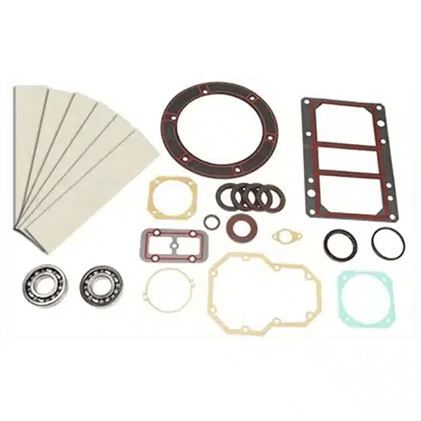 Moro Vacuum Pump Rebuild Kit With Bearings