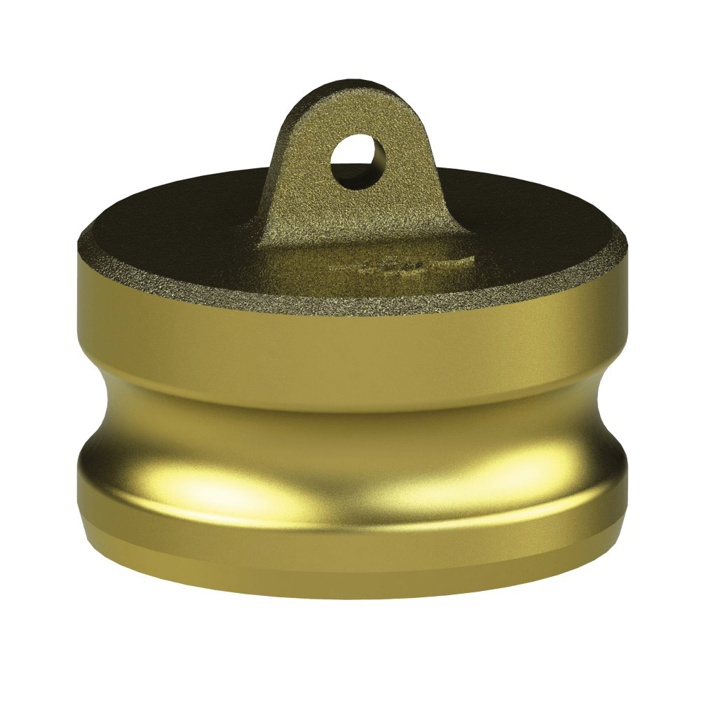 PT Coupling 1201210 Dust Plug, 1 in Type W, Brass