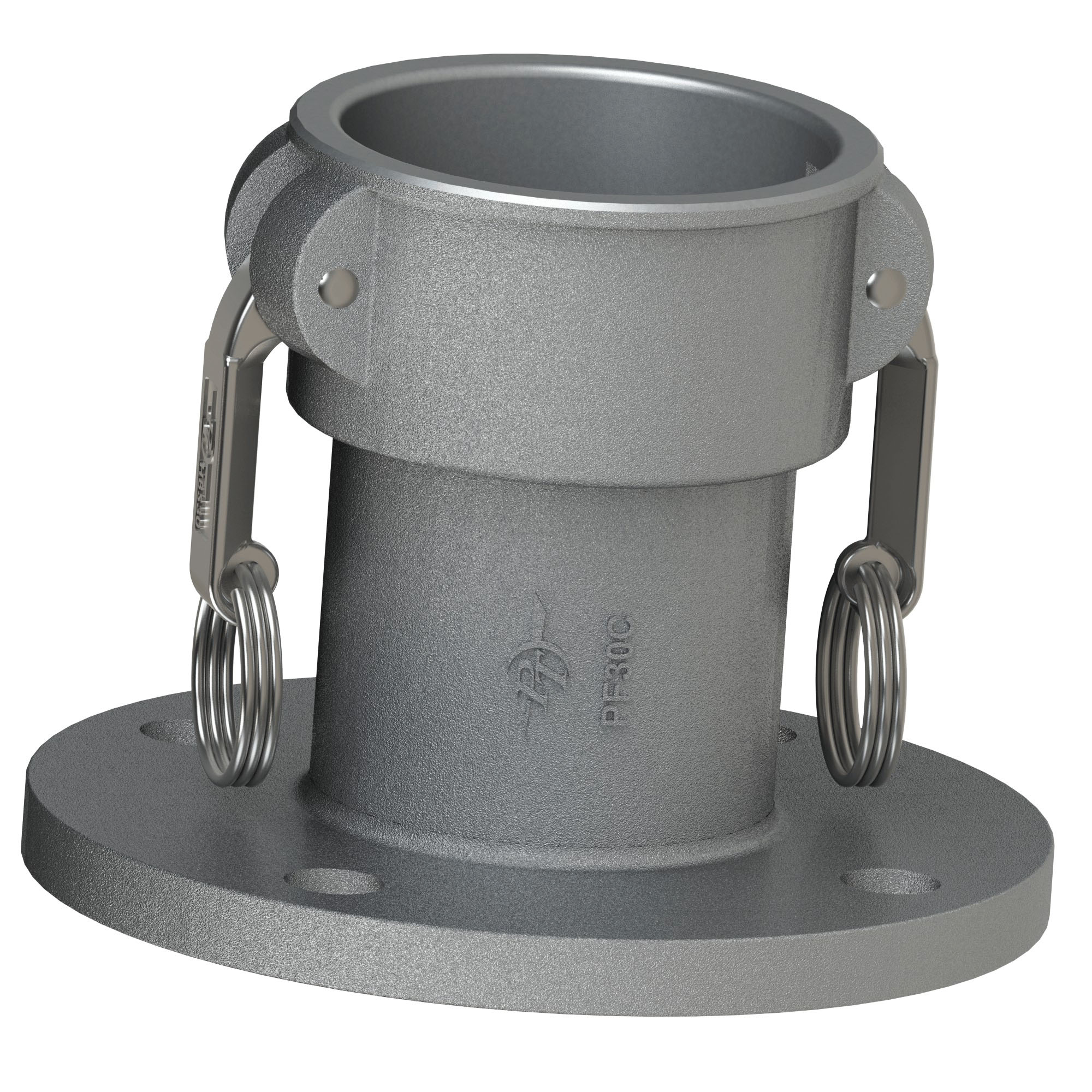PT Coupling 64541000 Raised Face Pipe Flange, 1 in Coupler x 1 in Flanged, 316 Stainless Steel