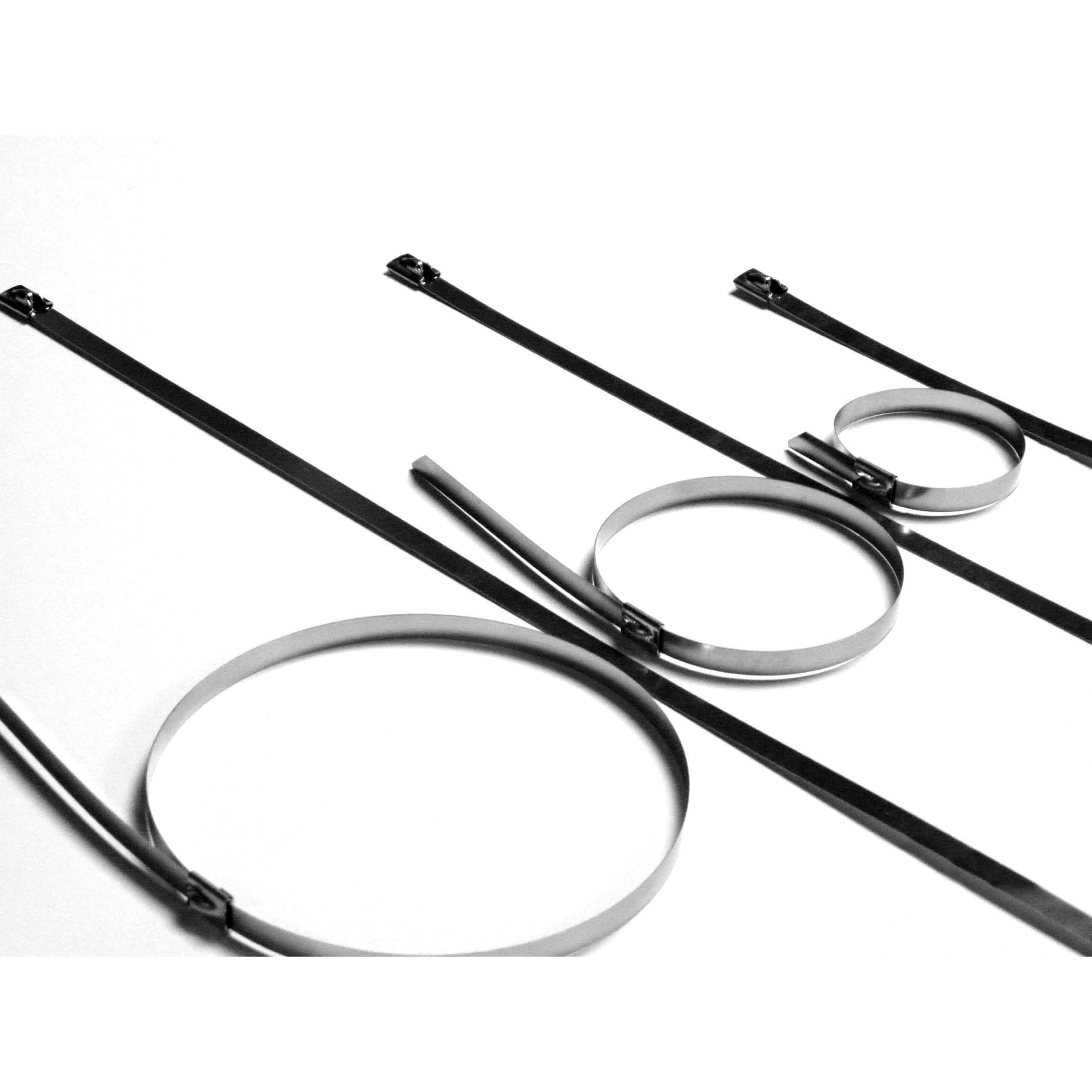 PT Coupling 930080 Cable Tie, 8 in L