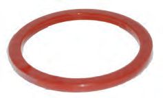 PT Coupling 5503010 Coupling Gasket, 1 in Nominal, PTFE Encapsulated Silicone