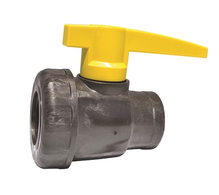 Single Union Poly Valve