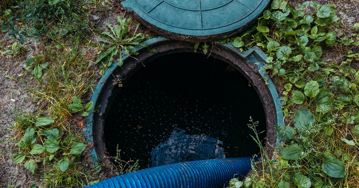 A blue sewer hose that is snaking down into a sewer opening with its cover sitting next to it on the ground.