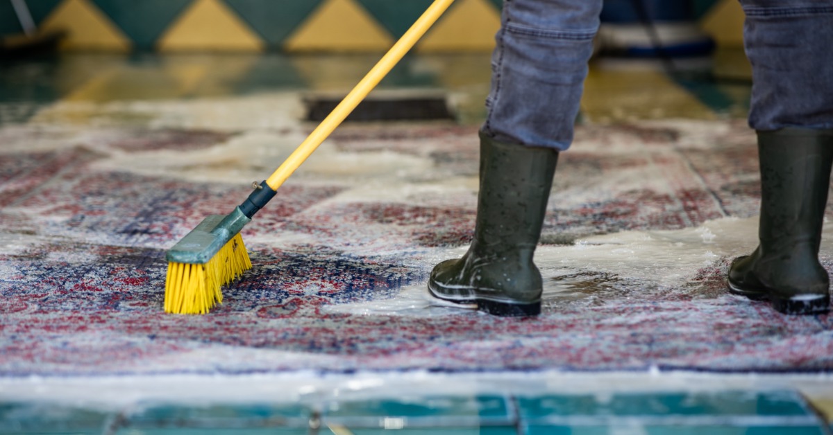 A carpet cleaner in long, rubber boots standing on a carpet being washed and using a dry brush to scrub it.