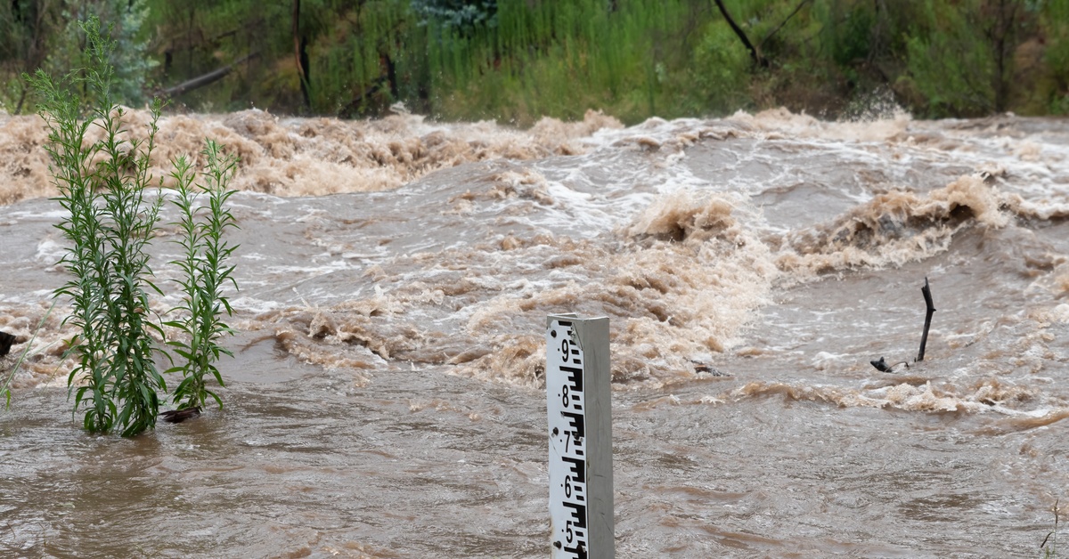 A surge of floodwater submerging plants and a metal bar with measurement markers that extend up to the number nine.